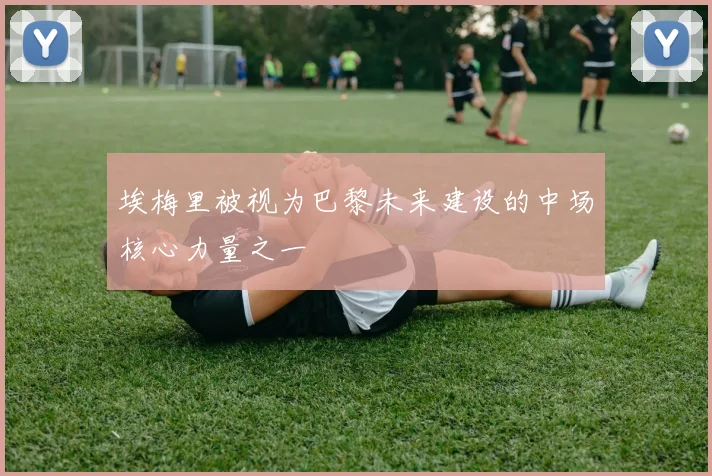埃梅里被视为巴黎未来建设的中场核心力量之一